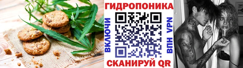 наркошоп  KRAKEN ONION  Печенье с ТГК марихуана  Жуковка 