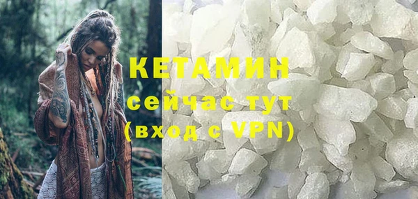 стаф Аркадак