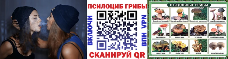 Галлюциногенные грибы Magic Shrooms  ОМГ ОМГ ССЫЛКА  Жуковка 
