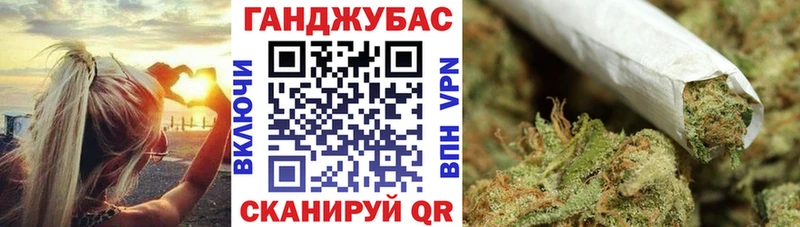 Конопля план  Жуковка 